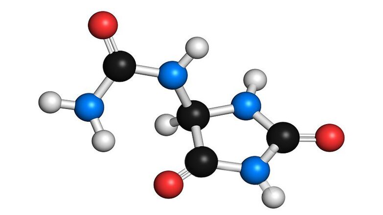 Allantoin und Panthenol in Hondrolife